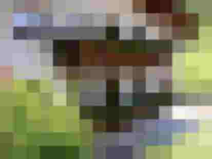 Gemütliches Haus Babsy in Zell am See mit Balkon und blühenden Pflanzen, umgeben von Natur.